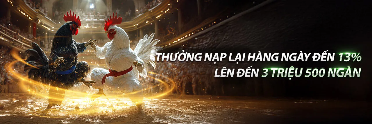 Đá gà trực tuyến 678win Casino